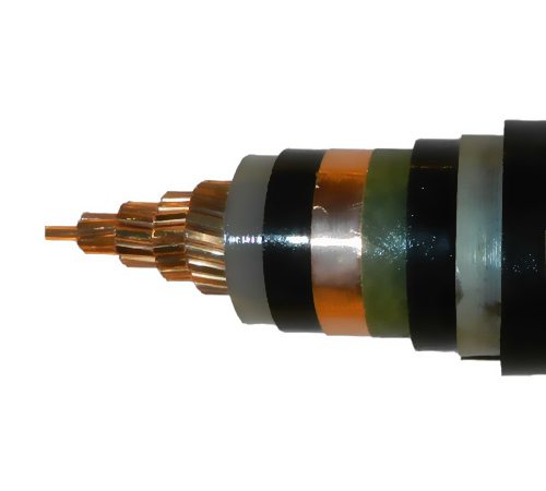 �o(w��)�u�͟���ȼ��|����ɫ