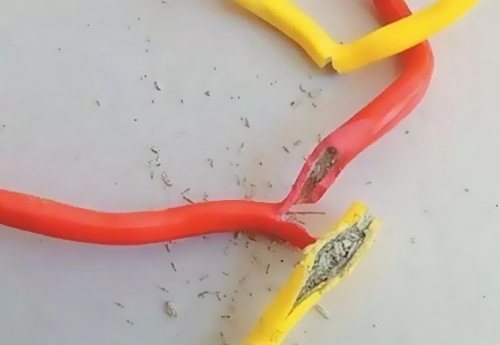 �|(zh��)�����늾�(xi��n)