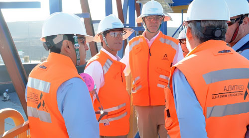 2020��ȫ���~�л���F(xi��n)20-30�f������(y��ng)�^ʣ