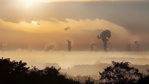 2019��������Դ�ИI(y��)������̼�ŷ�ͬ���½�2.8%